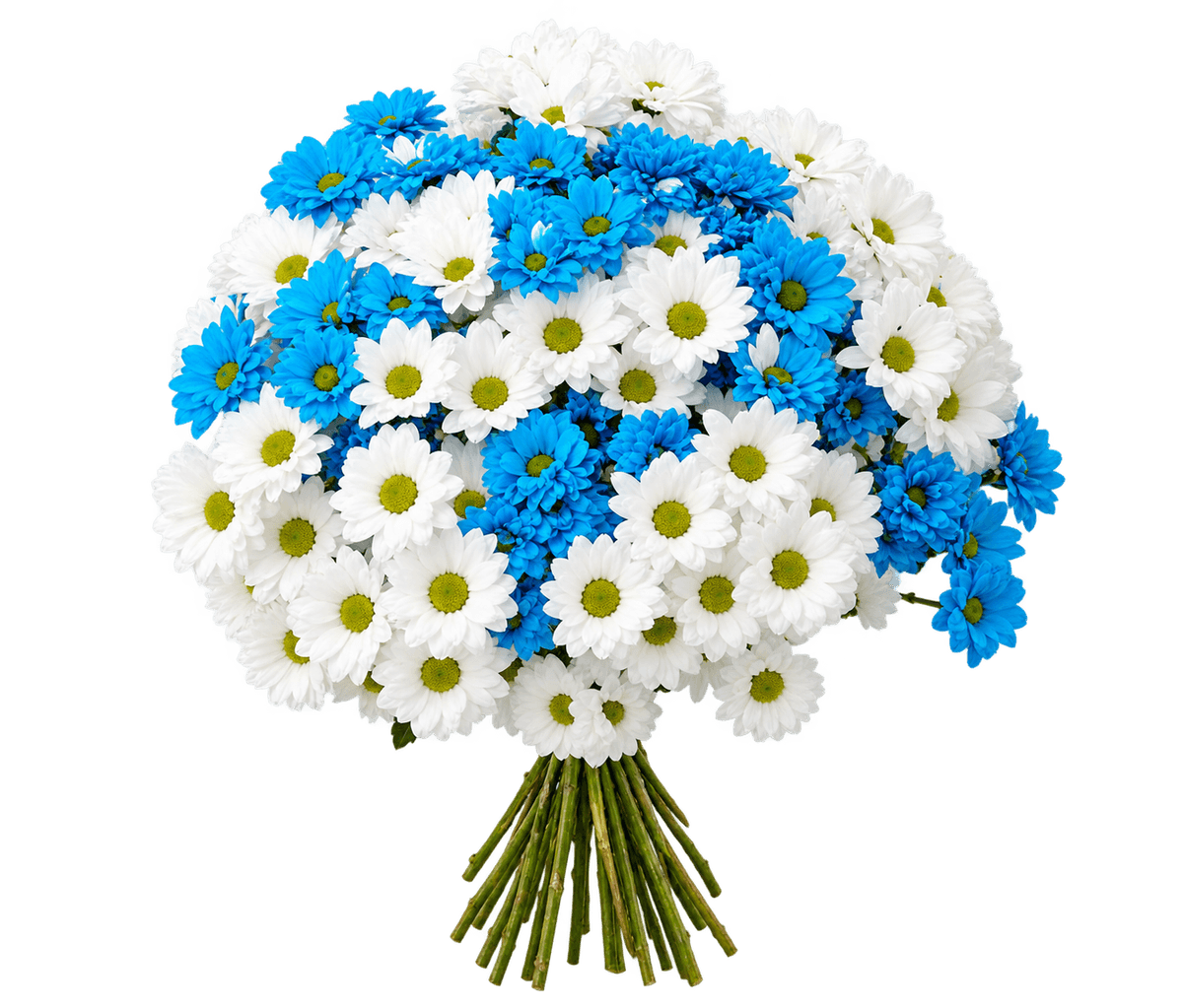 Blue Morning - Full arrangement